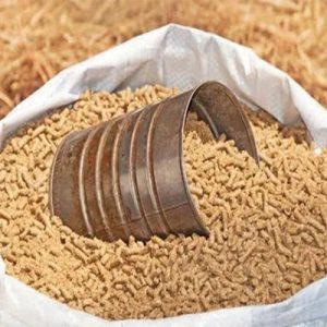 پرواری گوسفندی